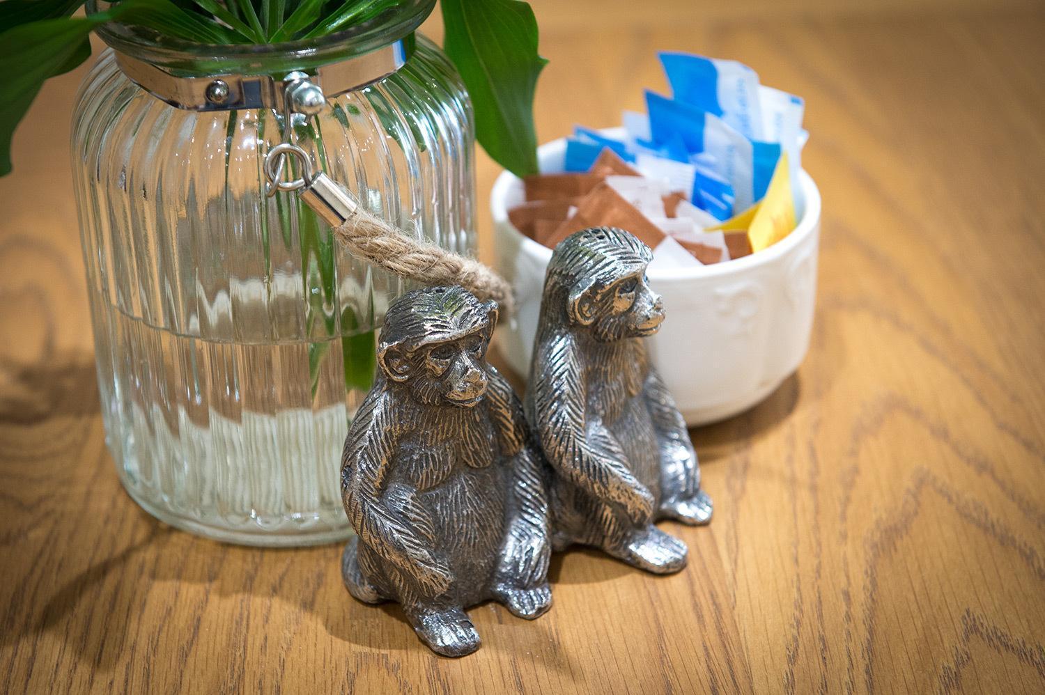 Darwin'S Townhouse Bed & Breakfast Шрусбъри Екстериор снимка Silver monkey salt and pepper shakers